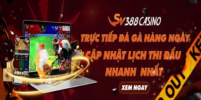 Khám phá 10 nha cai uy tin hàng đầu hiện nay dành cho người chơi Việt Nam
